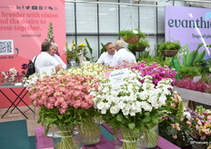 De Matthiola StoX Series is nu nog pre-commercieel. Werd deze FlowerTrials geintroduceerd en zal beschikbaar zijn in 2023, in 7 kleuren. Door een mix van Japanse en Europese genetica is dit een selecteerbare violier. Deze soort heeft een lang vaasleven, is een sterke plant en heeft een harde tak. En door smaller blad een beter luchtstroom door het gewas tijdens de teelt.